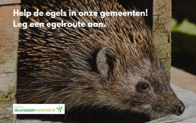 Meld je aan: wedstrijd voor de langste egelroute